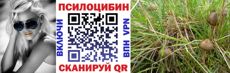 Купить  Норильск  Псилоцибиновые грибы ЛСД 